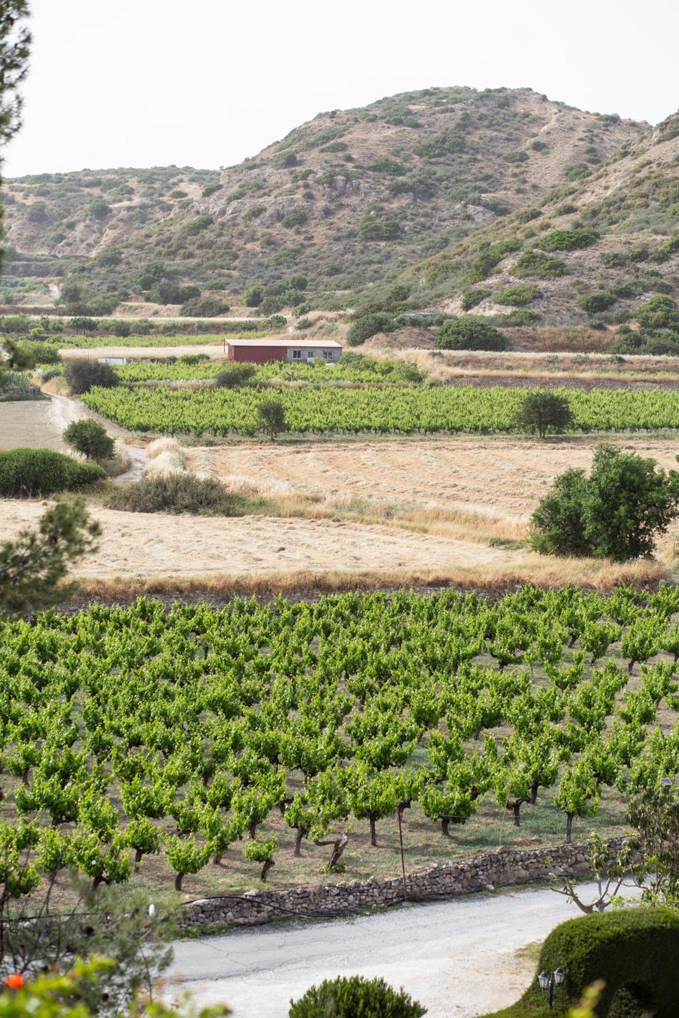Vina Oliva Resort 피조우리 외부 사진